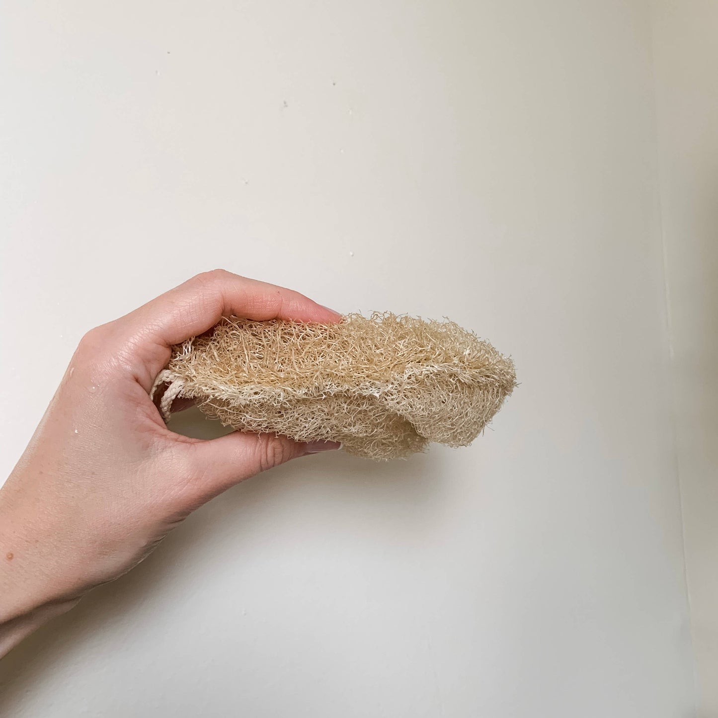 Double Layer Large Natural Loofah Sponge