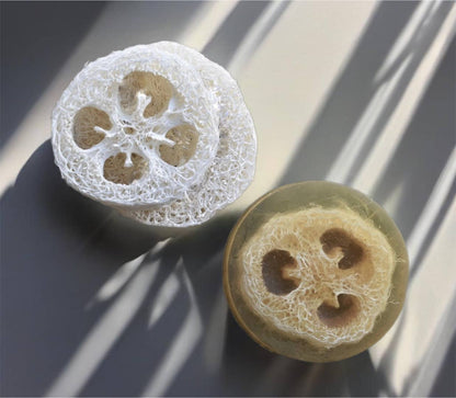 Starfruit + Coconut Cream Organic Loofah Soap
