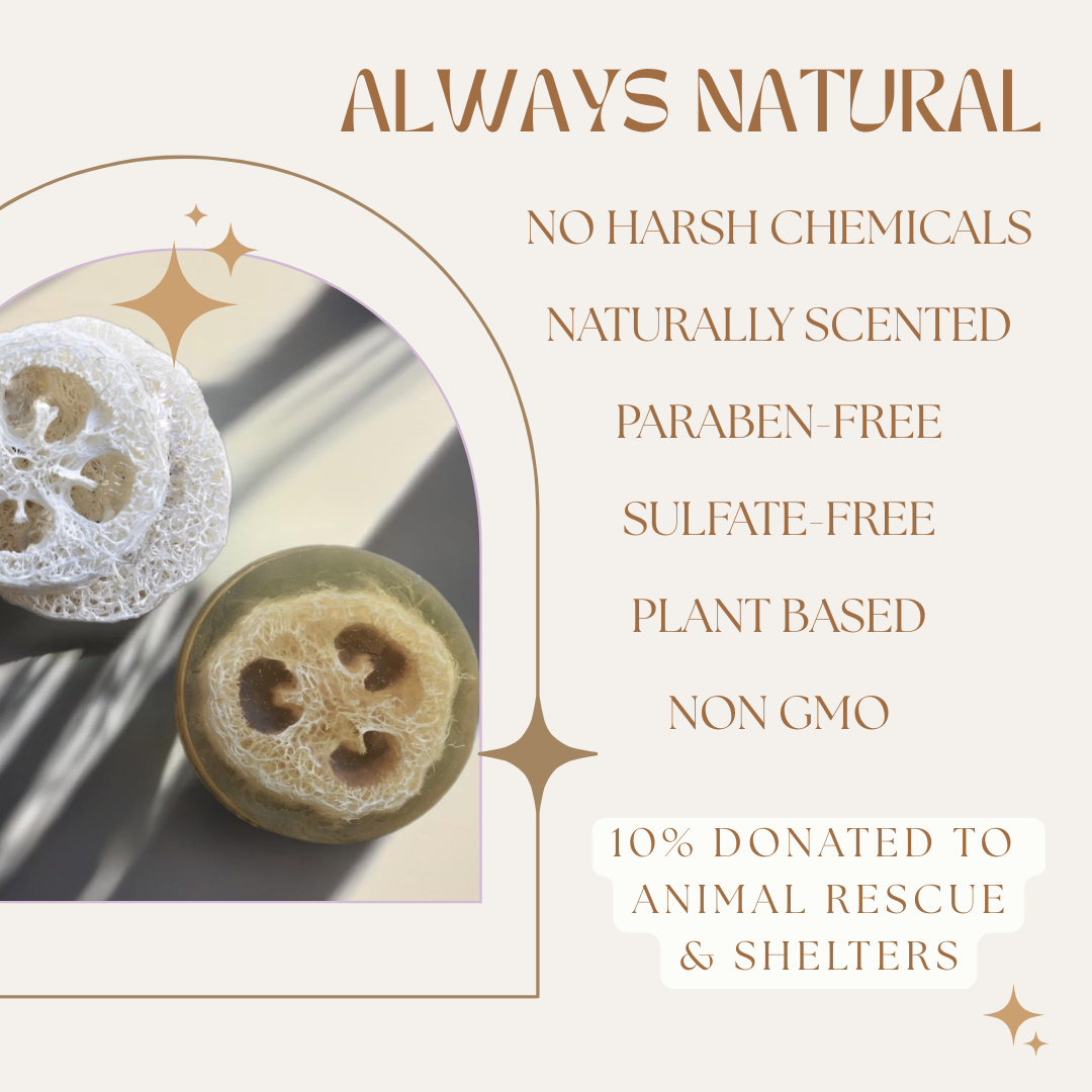 Starfruit + Coconut Cream Organic Loofah Soap